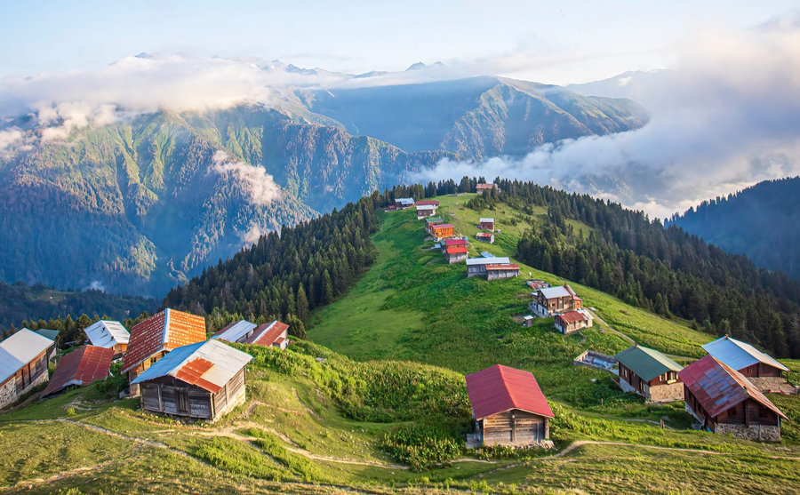 T Mahalle Rize Çözüm Temsilciliği